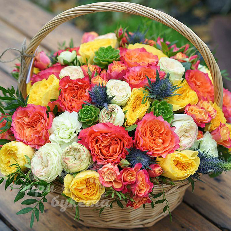 Купить корзину цветов в туле поздравить флориста с днем рождения